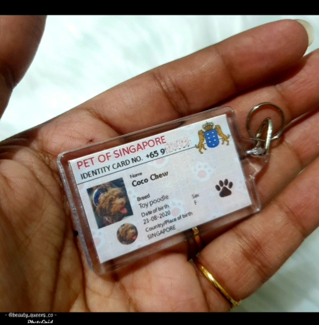 Mini Identification Card and Pet Collar Tag