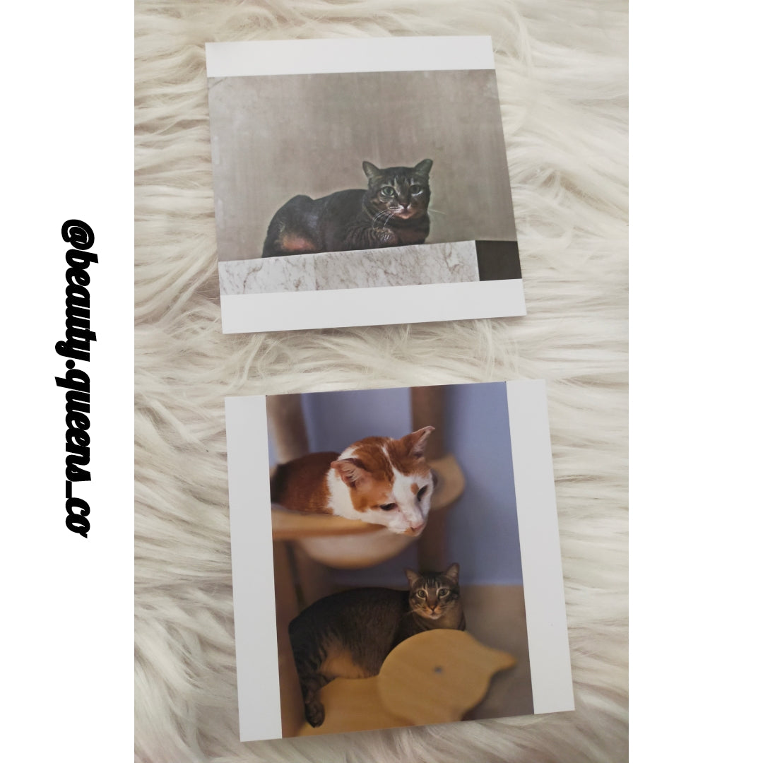 Invitation, Birthday and Event Card
