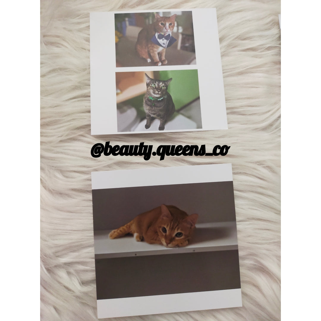 Invitation, Birthday and Event Card